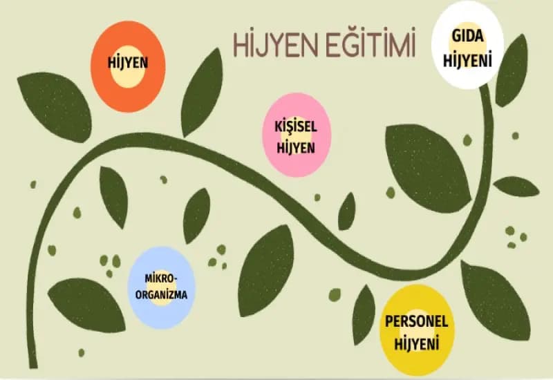 Hijyen Eğitimi Zorunlu Mu ?, Kimler Hijyen Eğitimi Almalıdır ?