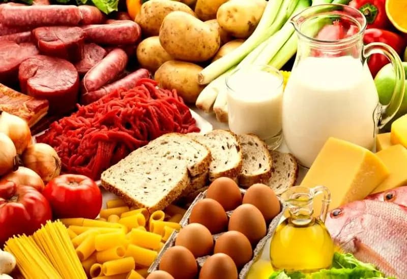 Gıda ve Su Sektöründe Çalışanlar için Hijyen Eğitimi